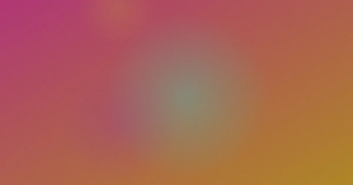 把爱带回家推荐：新手清单